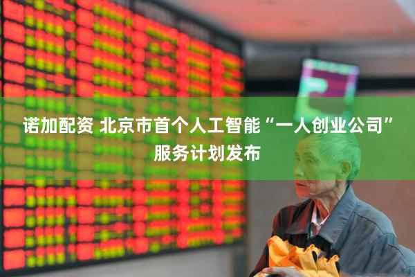 诺加配资 北京市首个人工智能“一人创业公司”服务计划发布