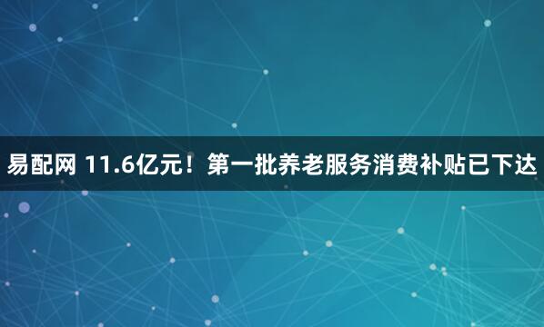 易配网 11.6亿元！第一批养老服务消费补贴已下达